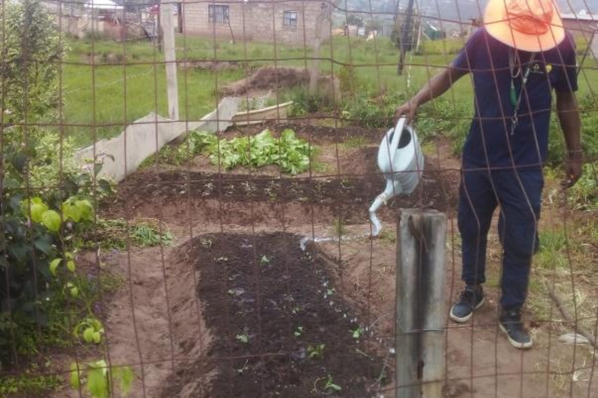 The Hammarsdale Agric-ECD Gardens Project 2025 - Do More Foundation